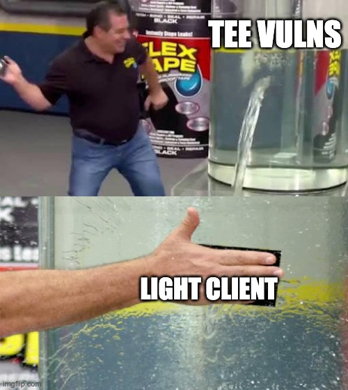 TEE Vulnerabilities